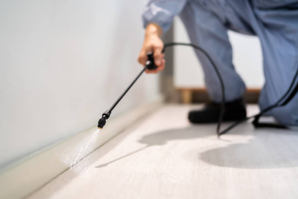 Licensed Pest Control service in Atkinson, IL - Show Me Pest Control