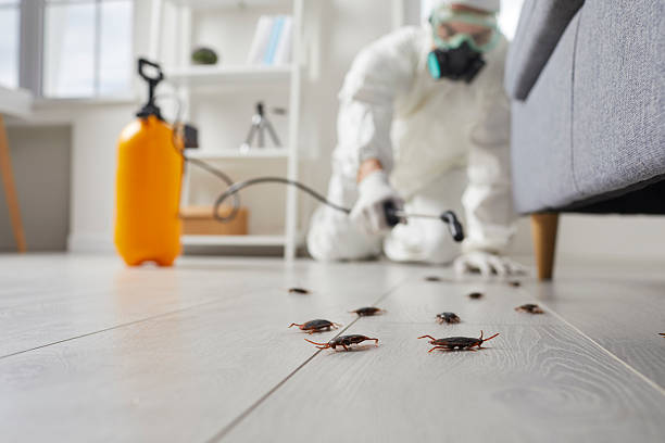 Commercial Kitchen Cockroach Control in Atkinson